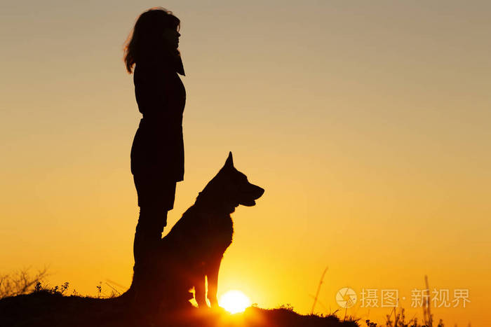 年轻女子和德国牧羊犬的剪影在夕阳下遥望远方,宠物坐在女孩的腿上,人