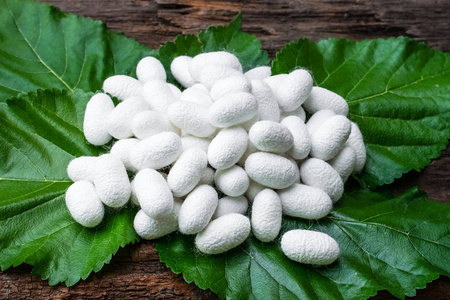 白丝软妹子图片-白丝软妹子素材-白丝软妹子插画-摄图新视界