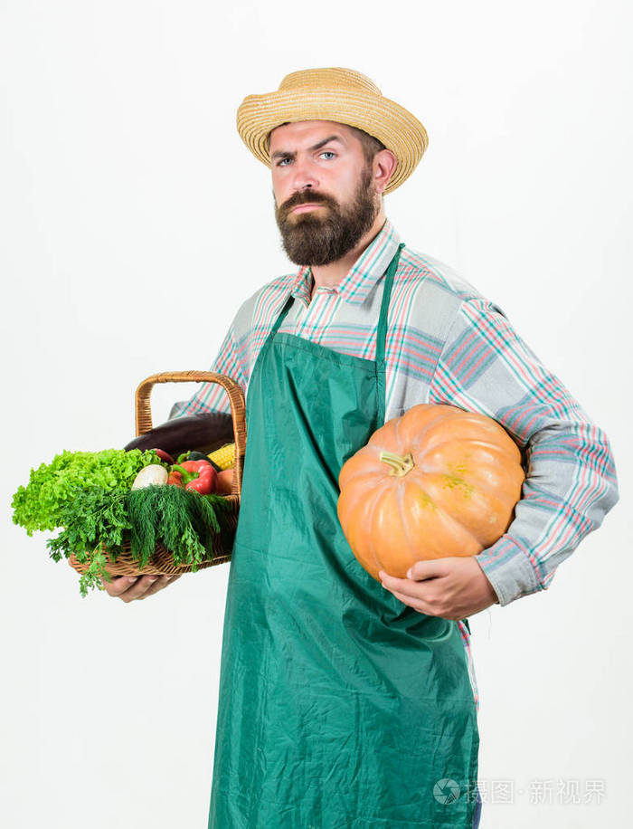 当地农场农民生活方式专业职业农业和农业农夫穿着围裙抱着南瓜白的