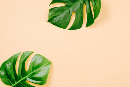 平铺,俯视,柔和的颜色,夏季简约概念照片