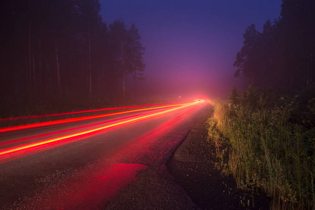 夜色森林里道路上的头灯痕迹图片