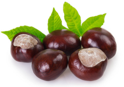 鲜板栗图片