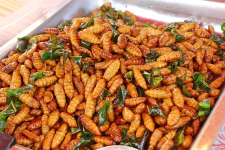 街头小吃炒虫子照片