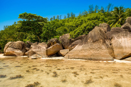 海滩上巨大的花岗岩巨石图片