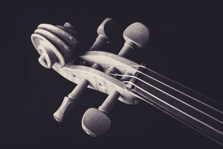 小提琴管弦乐队乐器图片