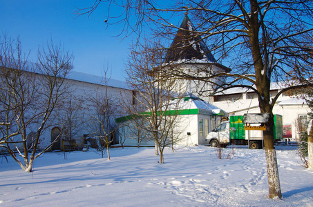 谢莫纳俄罗斯兹文尼哥罗德-2017年1月:萨维诺·斯托罗舍夫斯基·莫