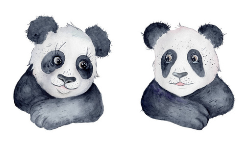 可爱的熊猫熊卡通水彩画动物图片