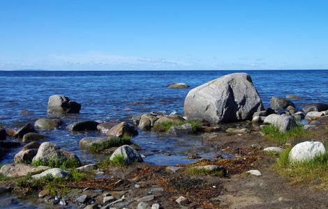 俄罗斯索洛夫斯基的白海海岸照片