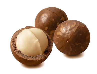 澳洲坚果.剥皮的,果壳状的.白背隔离照片