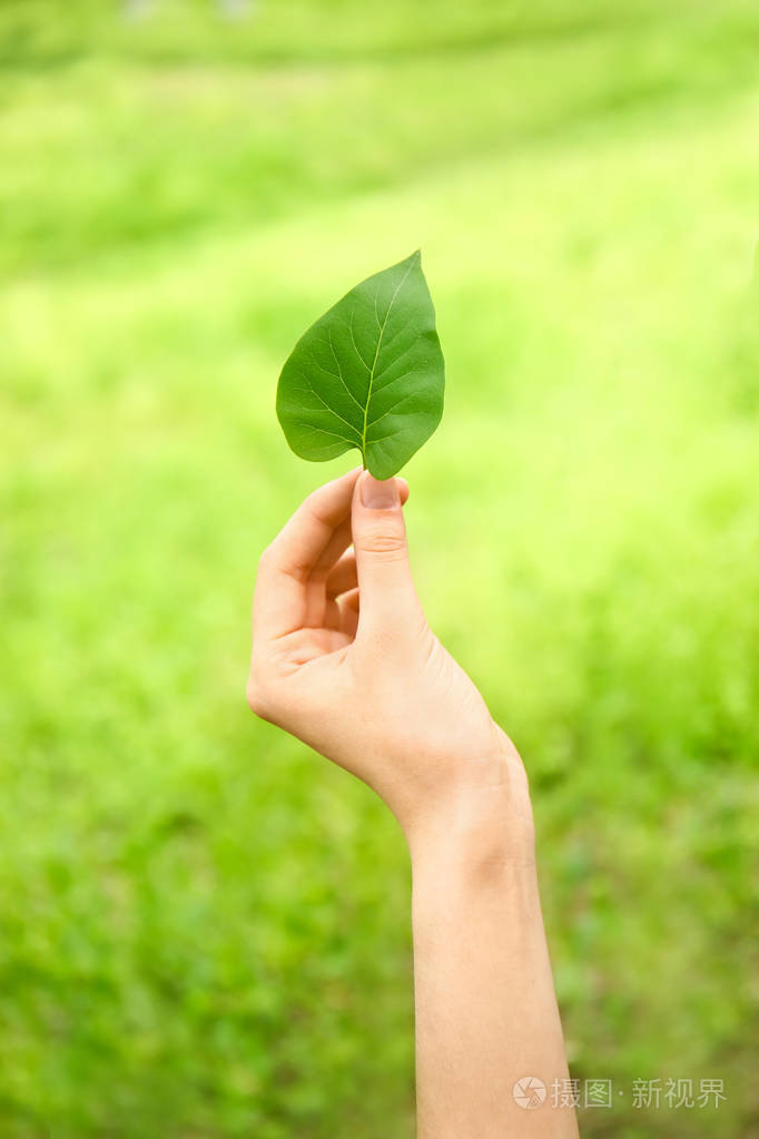 户外有新鲜绿叶的雌手生态概念