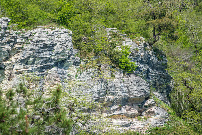 在茂密的绿色森林中的岩石峭壁山林春色