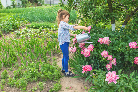 选择性聚焦.照片