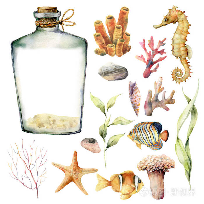 以珊瑚动物 植物 和鱼类为背景的水彩画 手绘水下树枝 海星 白色背景上孤立的瓶子 海洋生物插图 设计 印刷或背景 照片 正版商用图片2jxakq 摄图新视界