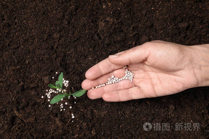 在土壤里给植物施肥的女人特写园艺季节
