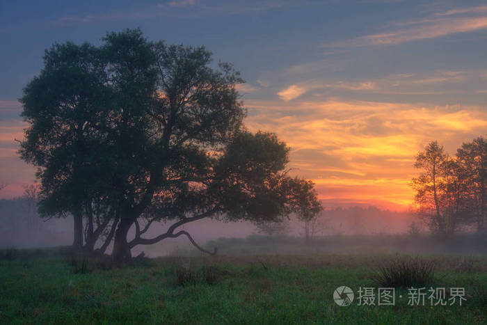 美丽的黎明。夏季自然景观。美丽的日出