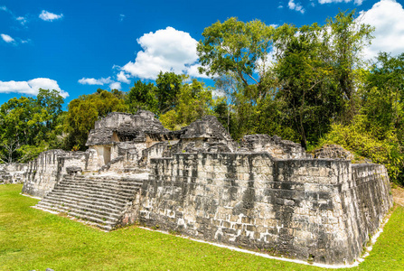 危地马拉提卡尔的古代玛雅遗迹图片