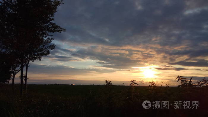 自然 颜色 草地 森林 空气 假日 早晨 天空 好极了 季节