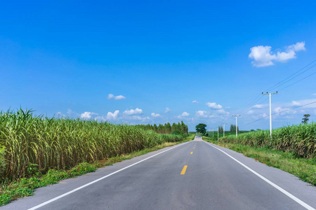 泰国乡村公路旁农场生长的美景图片