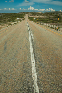 穿过岩石景观和田野的道路图片