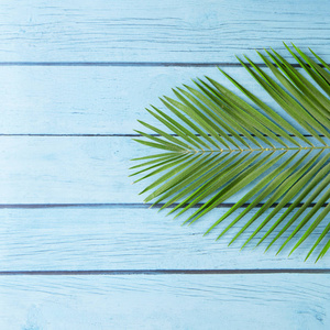 蓝色木地板上的热带植物图片