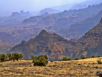 埃塞俄比亚的国家公园图片