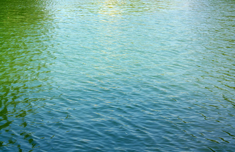 池塘水涟漪城市公园池塘水面上的涟漪照片