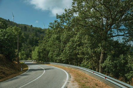 穿过树木覆盖的岩石景观的道路图片