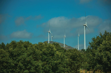 风力发电机和绿色树梢图片