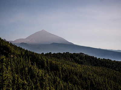 从树林到山的远景图片