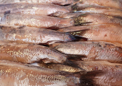 盐渍的鲱鱼图片