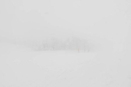 森林山区冬季暴风雪覆盖的树图片