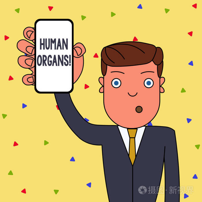 文字文字分析器官。huanalysis人体内部生殖器官结构的商业概念，男性手持垂直的智能手机设备和空白屏幕。
