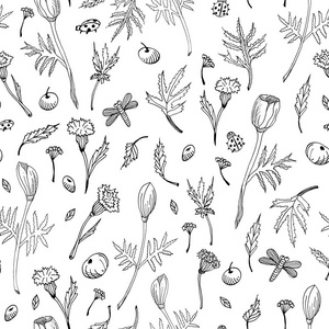抽象的无缝花卉图案与郁金香,叶子和草药.手绘黑白花照片