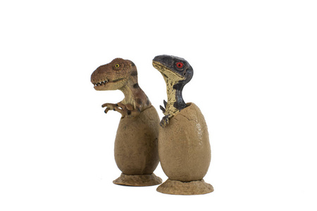 可爱的幼迅猛龙宝宝和霸王龙宝宝在白色背景下分离成卵子恐龙3d 渲染