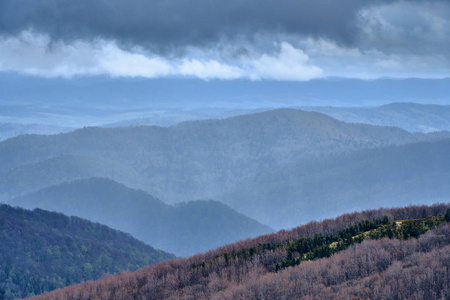 一个美丽的全景神秘的比什查迪山森林 波兰 在一个雾蒙蒙的春天五月天 大自然是孤独的 没有人照片 正版商用图片2k1lo8 摄图新视界 一个美丽的全景神秘的比什查迪山森林 波兰 在一个雾蒙蒙的春天五月天 大自然是孤独的 没有人照片 正版商用图片2k1lo8 摄图新视界