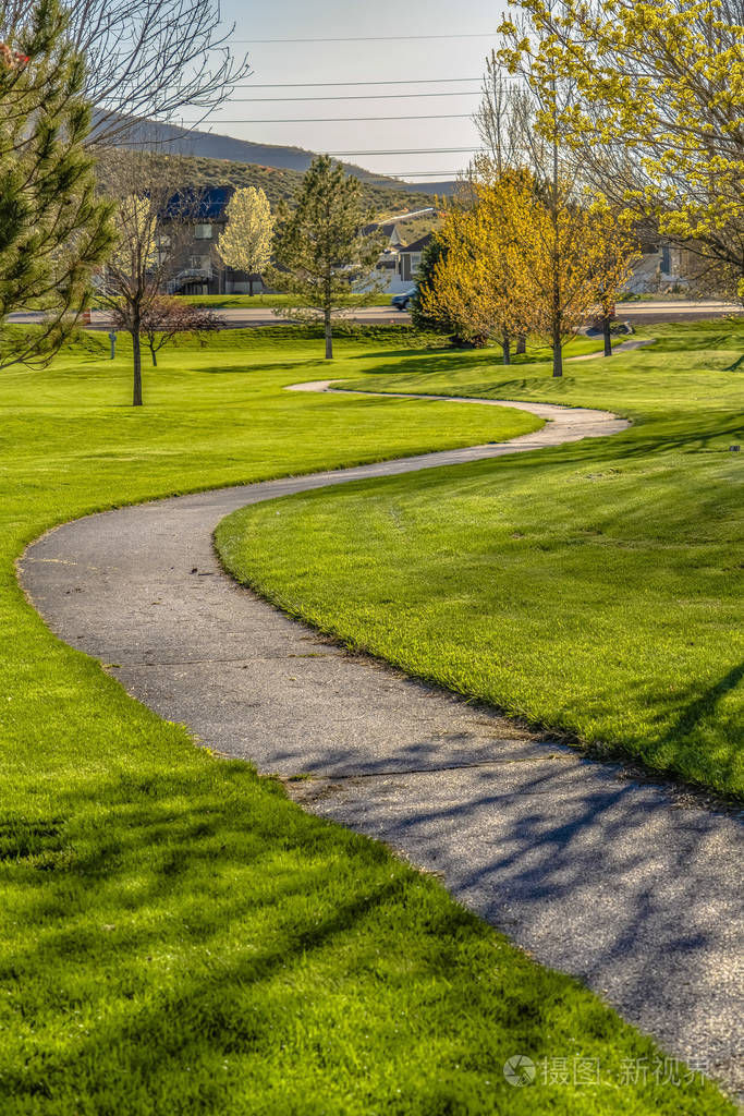 在阳光明媚的日子里有蜿蜒的小路和幼树