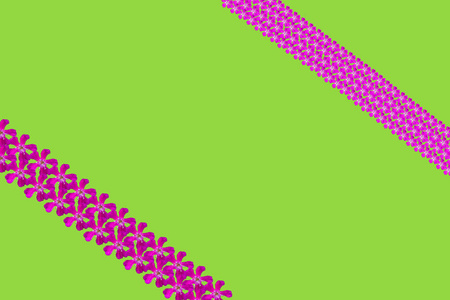 浅绿色背景上有粉红色花朵的空白图案 照片