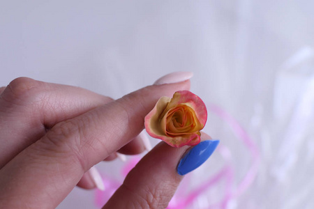 女性手拿着一朵小玫瑰花图片