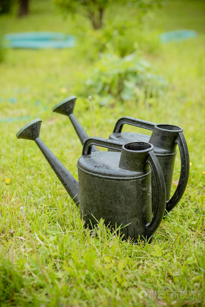 大在绿草间浇水的塑料水壶植被.园艺或种植理念.在花园里干活.
