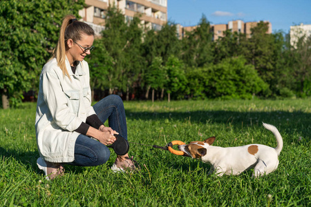 人和宠物在一起.一只杰克拉塞尔小猎犬照片