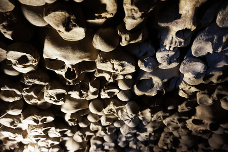 骨头教堂图片-骨头教堂素材-骨头教堂插画-摄图新视界