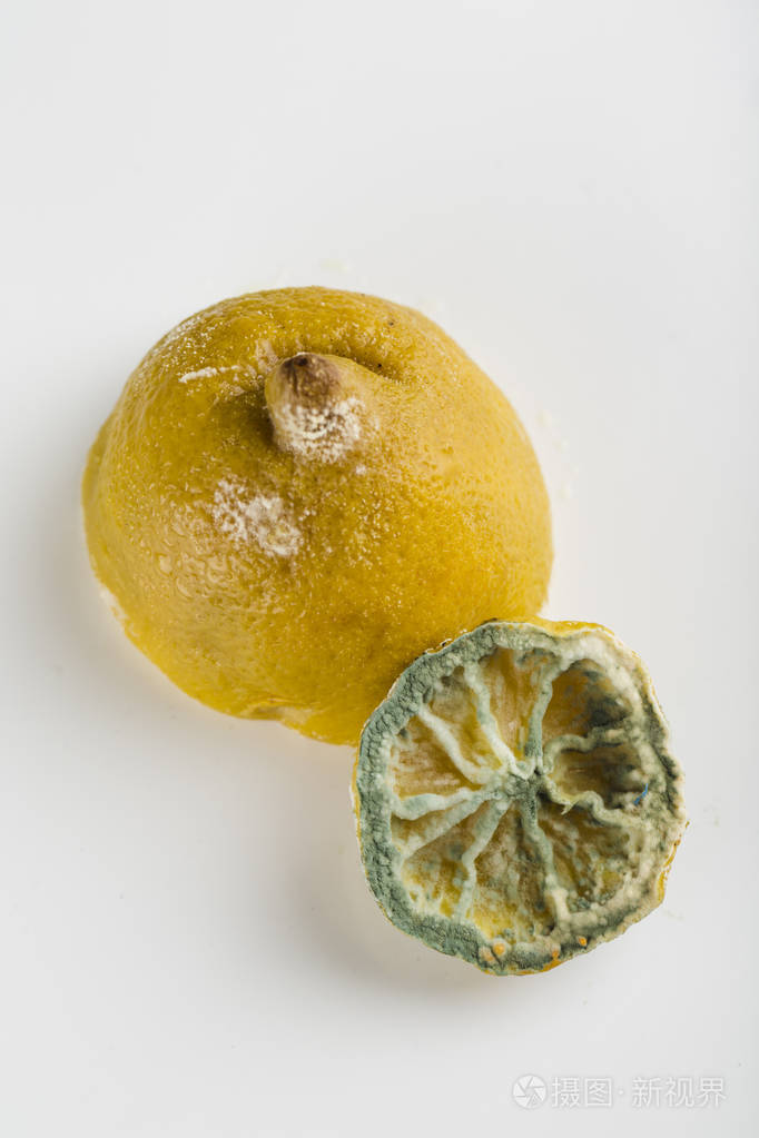 白色背景上有霉菌的丑陋柠檬