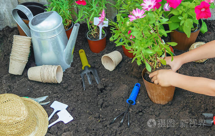 一个小女孩正在种花年轻的园丁选择性聚焦