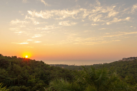 以棕榈树为背景的多彩日落景观图片