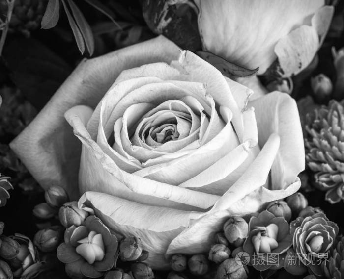白色玫瑰在复古单色春花花束中