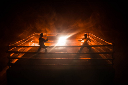 背景模糊.格斗八角台.环极限运动混合武术比赛照片