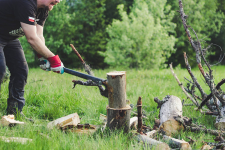 乌什么树图片-乌什么树素材-乌什么树插画-摄图新视界