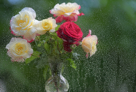 窗外有一束玫瑰花,上面有雨滴照片