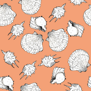 时尚桃子上贝壳的黑白素描插图图片