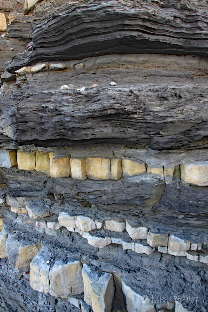 萨默塞特的东泉头海滩石灰岩路面可以追溯到侏罗纪时代是化石猎人的